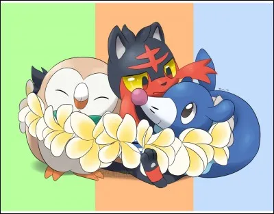 Vous êtes plutôt...