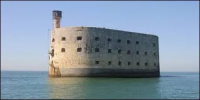 Quelle émission télévisée est diffusée chaque année pendant les vacances d'été en juillet et août ?