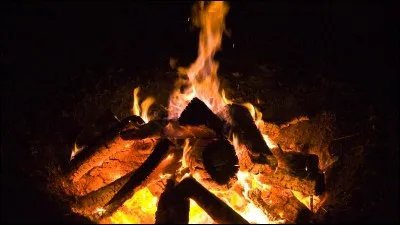 Quelle créature légendaire a la capacité de renaître de ses cendres ?