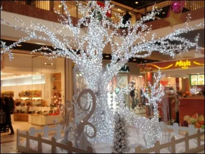 Antilope d'Asie à cornes courtes !