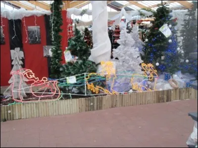 Jeux que les Grecs anciens célébraient tous les deux ans, en l'honneur de Zeus !