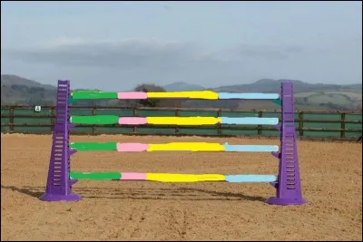 Lorsque l'on saute quelle partie de cet obstacle faut-il viser ?