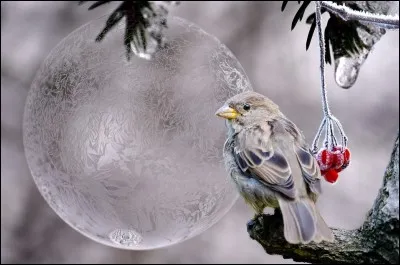 En France, quel est le mois le plus froid de l'année ?