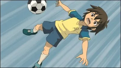 Quel est l'élément de Steve?