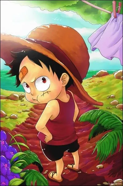 Qui a élevé Luffy ?
