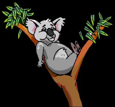 Jusqu'à combien de temps un koala peut-il dormir par jour ?