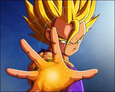 Qui est la petite amie de Sangohan (ado) ?