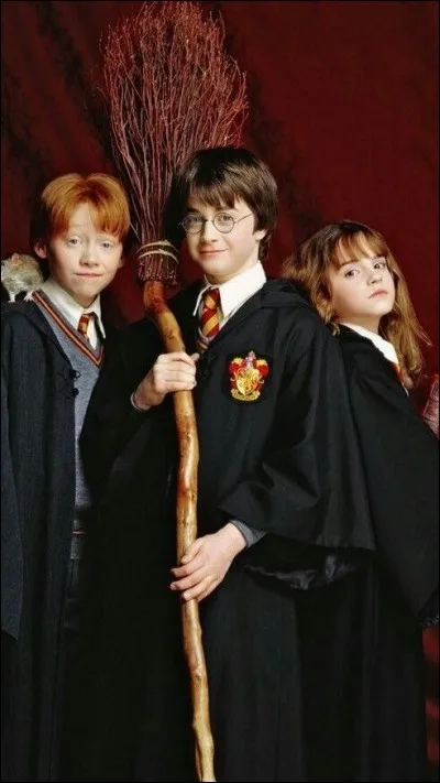 Dans "Harry Potter 3" nous avons une révélation....