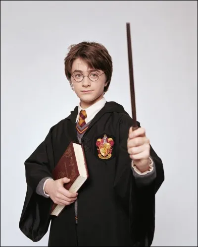 De quoi est faite la baguette magique de Harry Potter ?