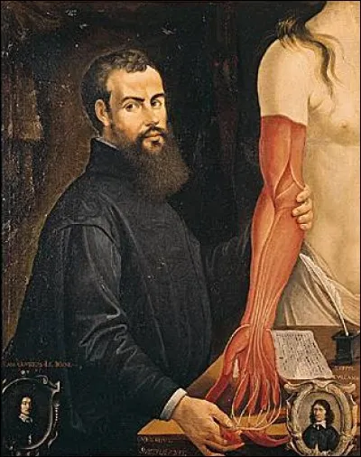 Né à Bruxelles le 31 décembre 1514, il est considéré comme un grand anatomiste et un des pionniers de la médecine moderne. De qui s'agit-il ?