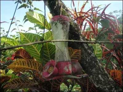 Instrument servant à mesurer l'intensité des radiations solaires !