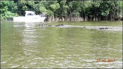 Accès, approche, il peut être facile !