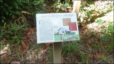 Gratter, user par frottement !