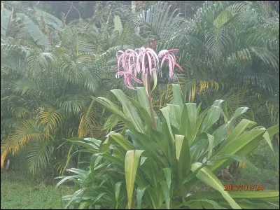 Gracieuse, douce, aimable et avenante !