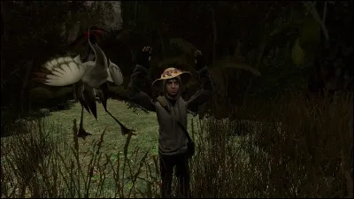 Quelle est la plus bête des 3 chaînes youtube ?