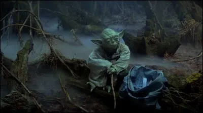 Si Yoda mâchonne l'écorce de sa canne, cela l'aide à :