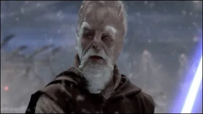 Quelle est la spécialité de Ki-Adi-Mundi ?