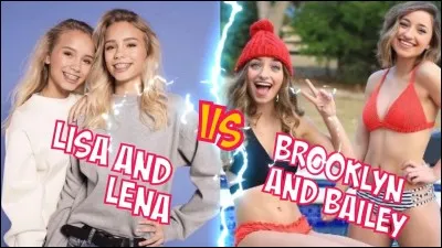 Combien ont-elles approximativement d'abonnés ? (en 2018)