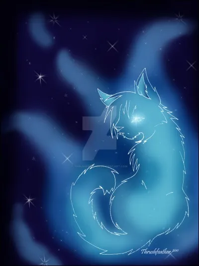 Puis pour finir, faut-il forcément croire au Clan des Etoiles pour pouvoir devenir guérisseur (ou du moins guérir son clan)?