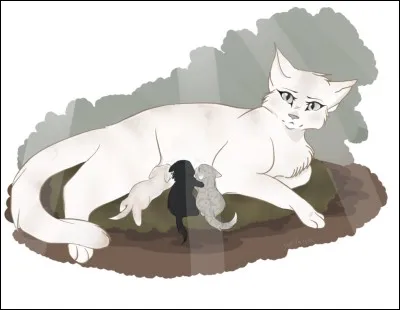 Retour aux remèdes, quelles sont les plantes qui aident la production de lait des femelles?