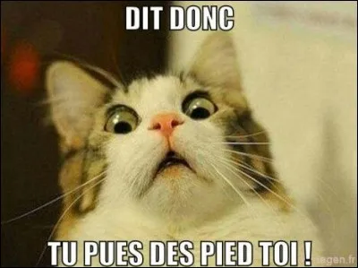 C'est un syndrome extrêmement rare, qui se caractérise par une forte odeur corporelle de poisson ; comment le nomme-t-on ?