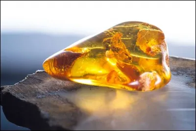 Qu'est-ce que l'ambre ?