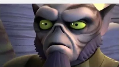 De quelle espèce est Zed ?