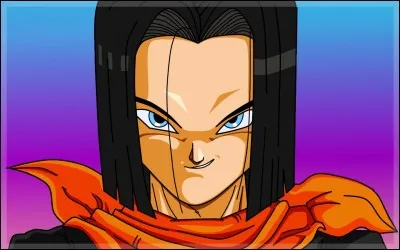 Quel est ce personnage de DBZ ?