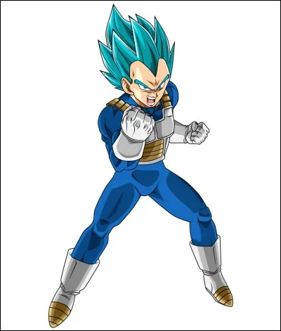Quel est ce personnage de DBZ ?