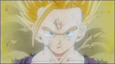 Quel est ce personnage de DBZ ?