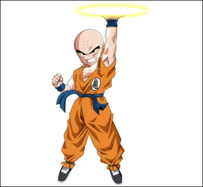 Quel est ce personnage de DBZ ?