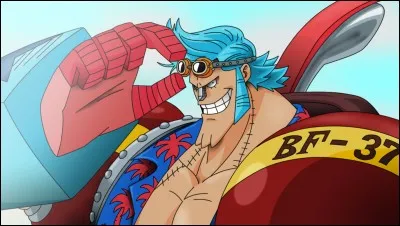 Franky est le dernier membre de l'équipage de Luffy.