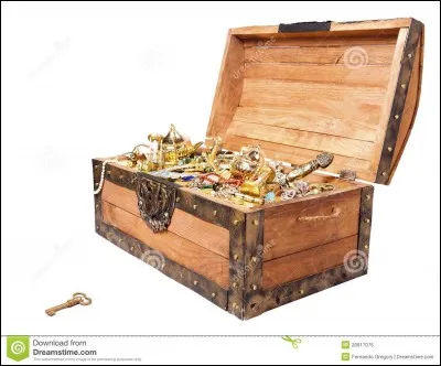 Gol D. Roger a été nommé le roi des pirates pour avoir trouvé le One Piece.