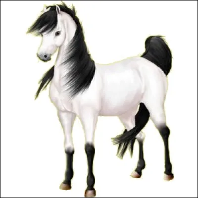 De quel objet est cette robe ?