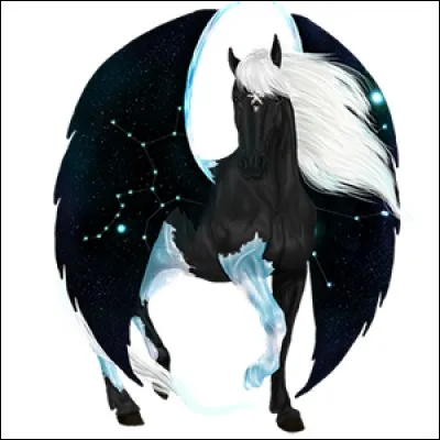 Quel objet permet au cheval d'être un pégase et d´avoir des ailes ?