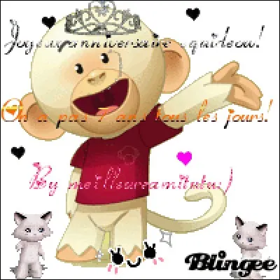 Sur quelle page peut-on trouver les autres joueurs fêtant leur anniversaire ?