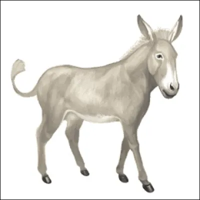 À votre avis, quelle était la race de ce cheval avant d´avoir recu la pomme de vintage ?