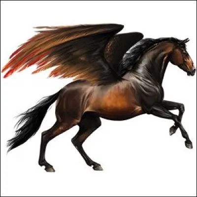 Combien de lettres maximum peut avoir le nom d´un cheval ?