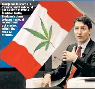 Il faut, en priorité, protéger nos enfants. Justin Trudeau, s'est lancé un défi qui va bouleverser les moeurs. Il va décriminaliser la vente de marijuana !
Il a proclamé qu'il veut s'assurer que les enfants n'auront plus un accès facile à la marijuana tout en mettant fin, à la mainmise du crime organisé, sur la vente du cannabis.