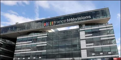 Animateur de 56 ans (en 2017), je présente plusieurs émissions de télévision sur une chaîne française du service public. De nationalité française, je suis né en Égypte. Mon nom de famille est Fam, je suis, je suis....