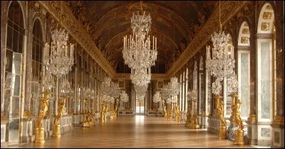 Le château de Versailles fut la résidence de 3 rois de France. Il compte 700 pièces, plus de 2500 fenêtres et 352 cheminées ! Parmi ces pièces, celle présentée en photo est l'une des plus connues. Quel est son nom ?