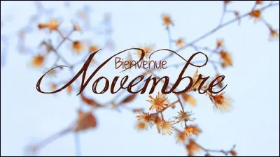 Le 11 Novembre 2018, on fêtera le centenaire d'une guerre qui a fait des millions de morts. Quelle est cette guerre ?