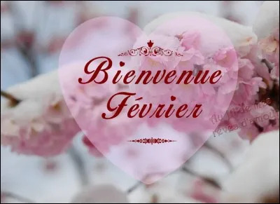 Les Jeux Olympiques d'Hiver 2018 se dérouleront à Pyeongchang en Corée du Sud mais quel animal est la mascotte de ces jeux ?