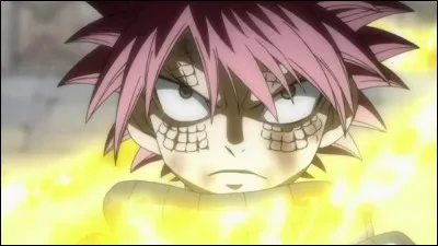 Qui est en réalité Natsu ?