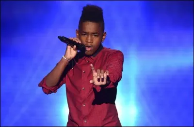 Quel titre a-t-il interprété pour son audition à l'aveugle lors de son passage dans The Voice Kids France 2015 ?