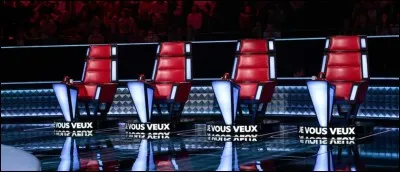 Quel coach a-t-il choisi lors de son passage dans The Voice Kids France 2015 ?