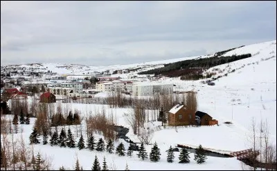 Pour rester au nord, vous essayez Husavik, dans une baie sur la côte nord de l'Islande. Vous trempez votre pied : quelle est la température ?