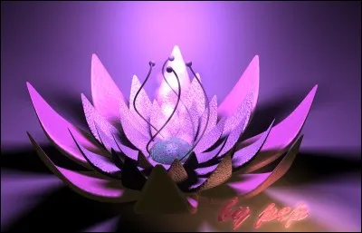 Quelle fleur leur correspond le mieux ?