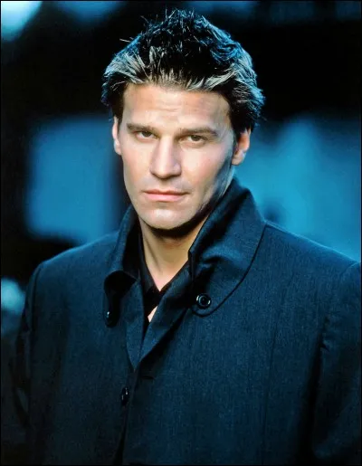 Dans quelle(s) série(s) a-t-il joué ?