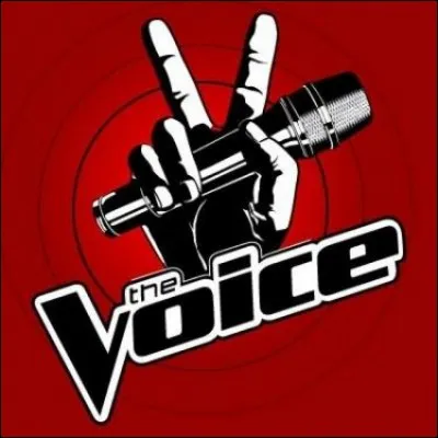 Qui remporte The Voice en 2017 ?